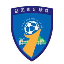 衡阳队