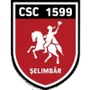 CSM 马雷