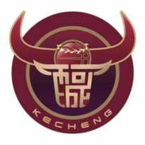 金华队