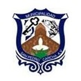 纽瓦罗莎CDF